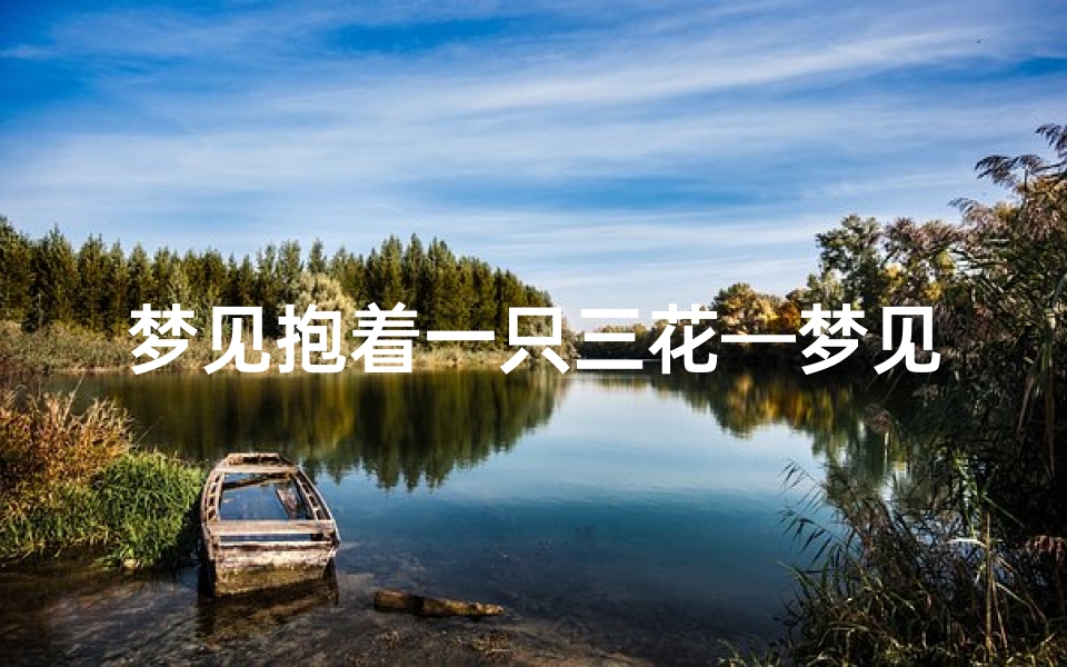 梦见抱着一只三花—梦见抱着一只三花猫
