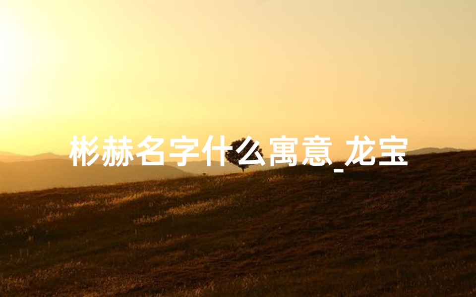 彬赫名字什么寓意_龙宝宝取名赫彬：寓意吉祥，彰显尊贵风采