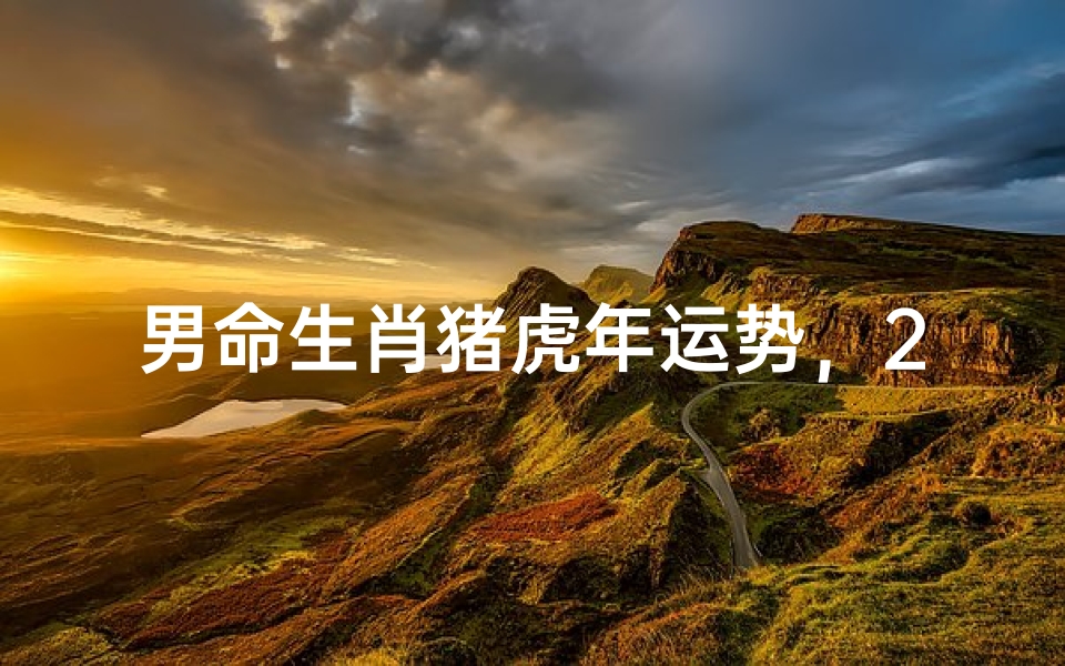 男命生肖猪虎年运势，2022年事业财运感情健康全解析