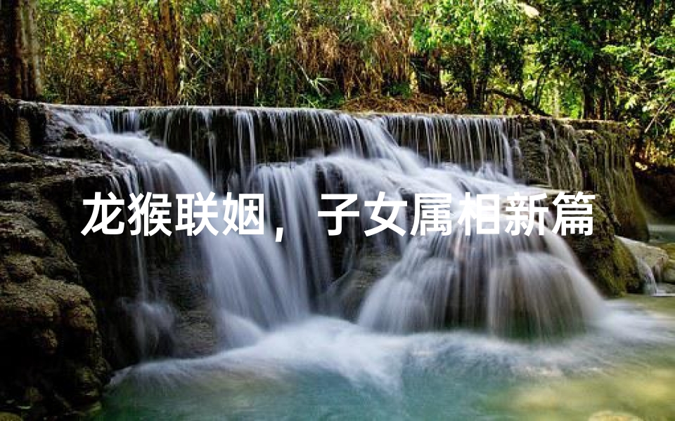 龙猴联姻，子女属相新篇章