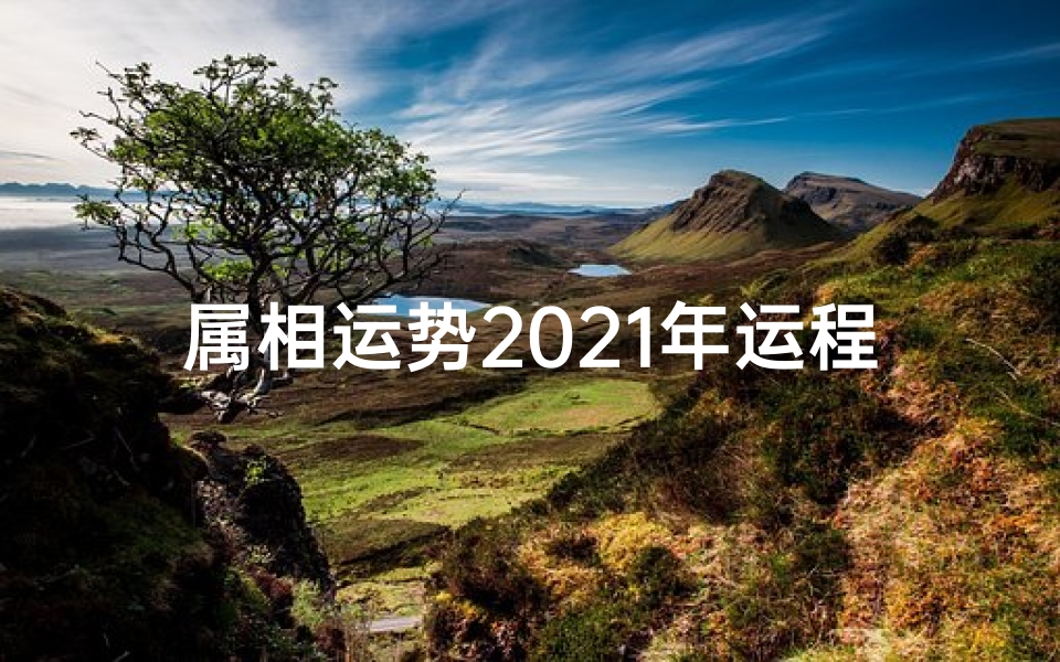 属相运势2021年运程查询(2021年十二生肖每月运势运程,2021年十二生肖运势运程)