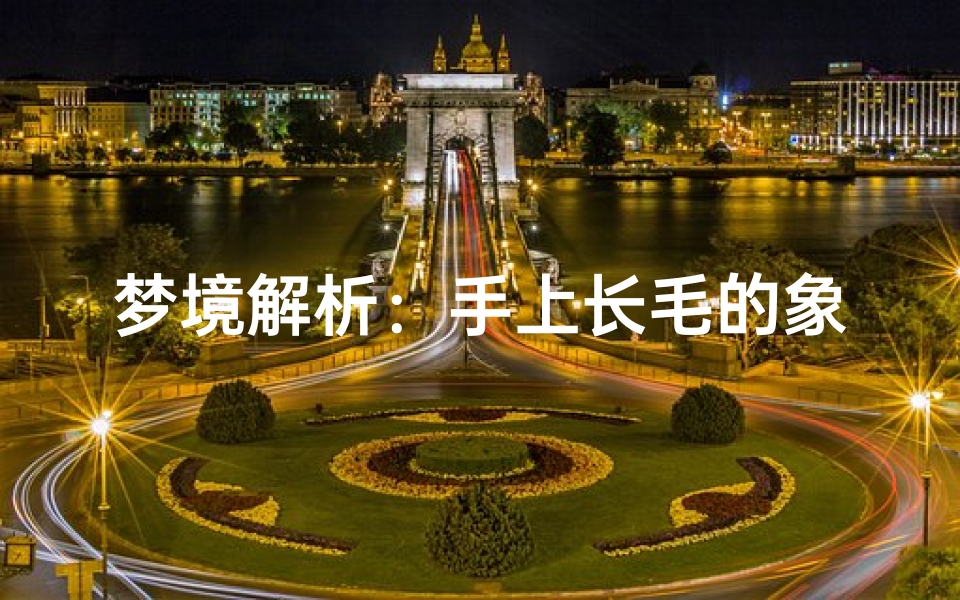 梦境解析:手上长毛的象征意义,周公解梦中的身体异象解读