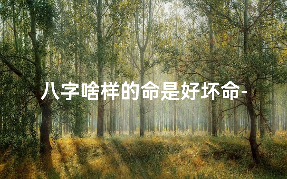 八字啥样的命是好坏命-八字命理:揭秘好坏命的秘密