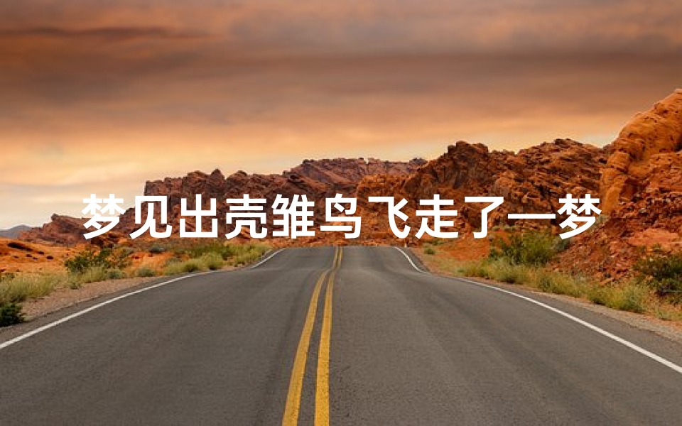 梦见出壳雏鸟飞走了—梦见小鸟出壳后飞出