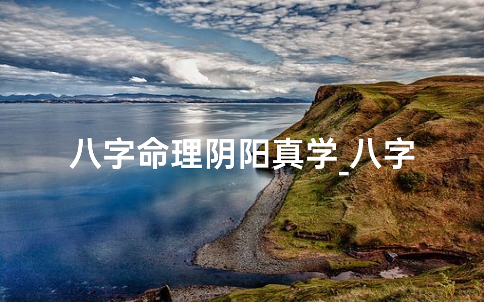 八字命理阴阳真学_八字命理阴阳真学pdf