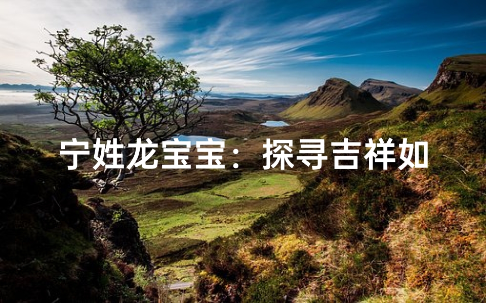 宁姓龙宝宝:探寻吉祥如意的名字之道