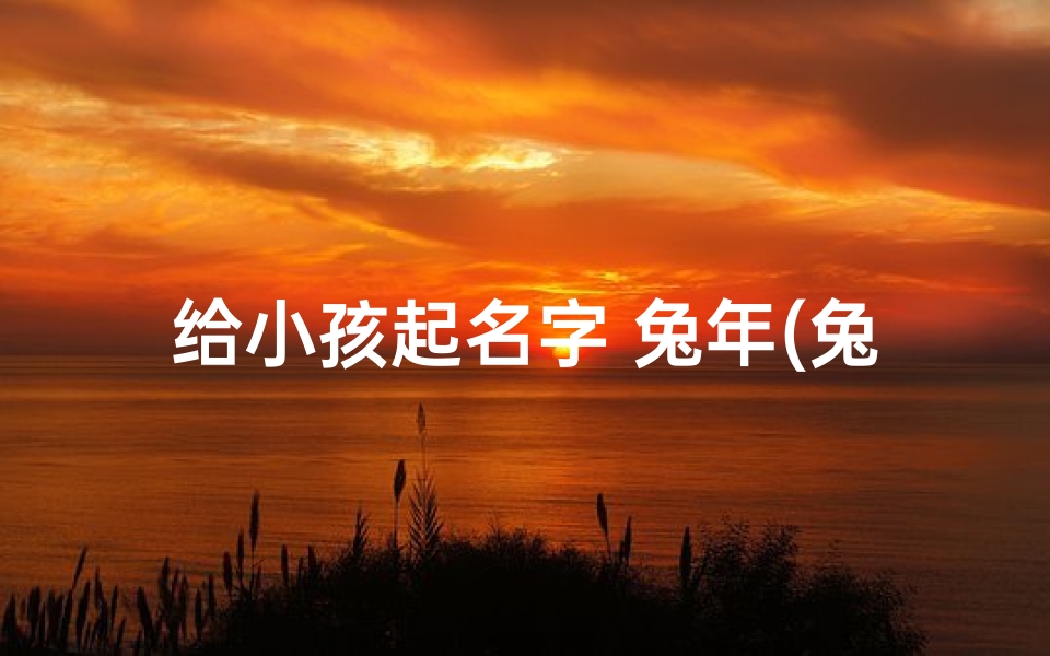 给小孩起名字 兔年(兔年孩子名字)