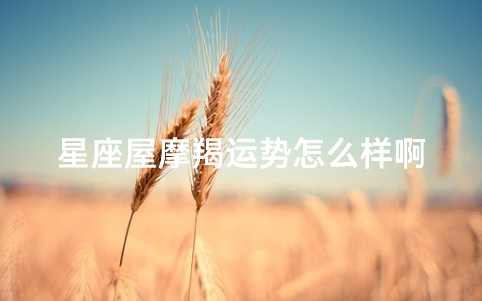 星座屋摩羯运势怎么样啊、摩羯座星座屋运势