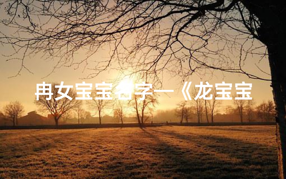 冉女宝宝名字—《龙宝宝取名:姓冉的创意美名精选》