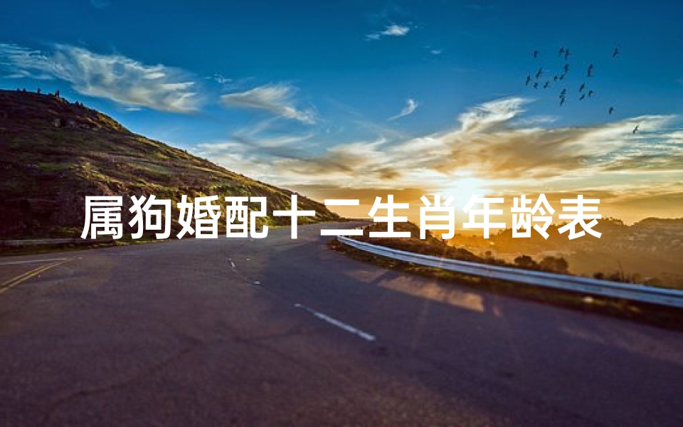 属狗婚配十二生肖年龄表(十二生肖表年龄表)
