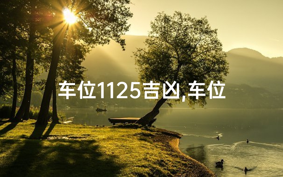 车位1125吉凶,车位吉祥号码202测吉凶