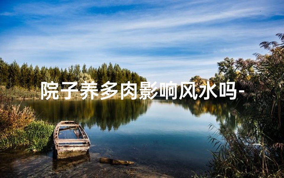 院子养多肉影响风水吗-多肉植物小院子布置