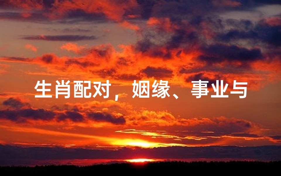 生肖配对,姻缘、事业与财运的命理奥秘