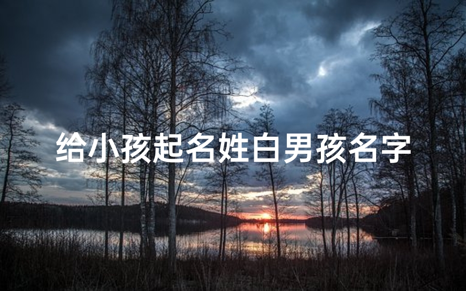 给小孩起名姓白男孩名字(给小孩起名姓白男孩名字怎么取)