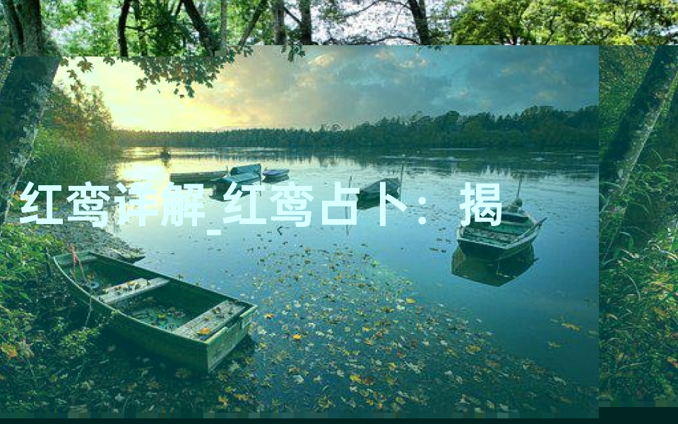 红鸾详解_红鸾占卜:揭秘吉凶运势的神秘指南