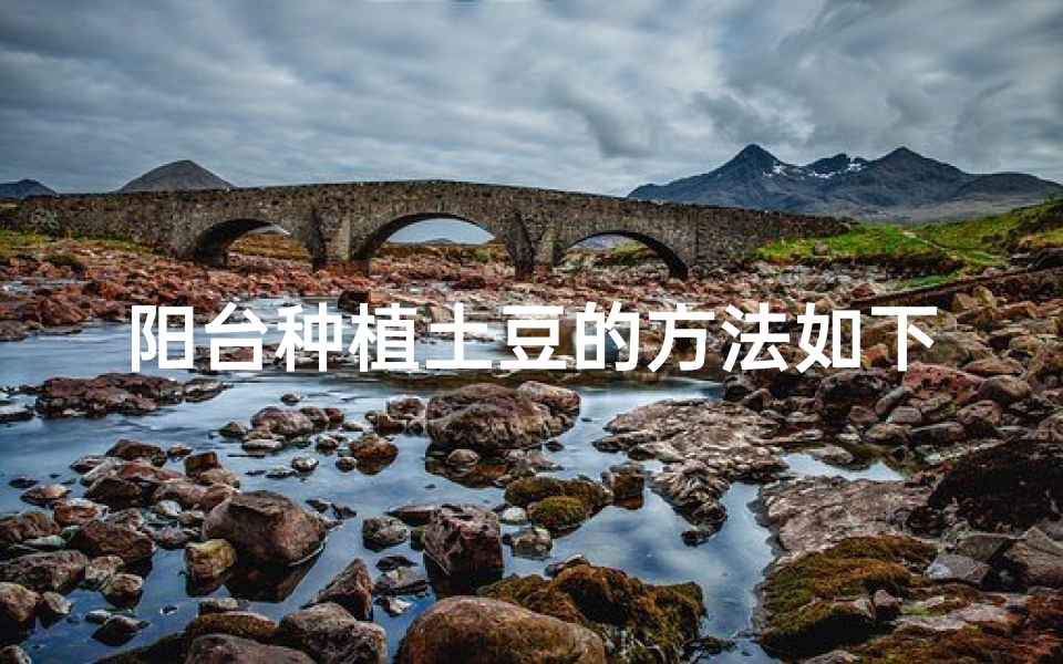 阳台种植土豆的方法如下_阳台种土豆风水讲究多