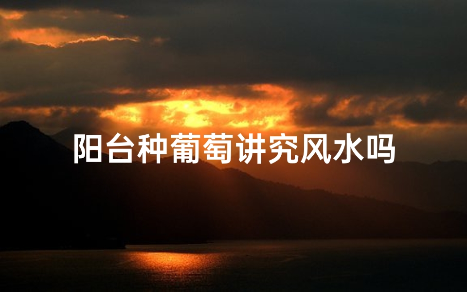 阳台种葡萄讲究风水吗