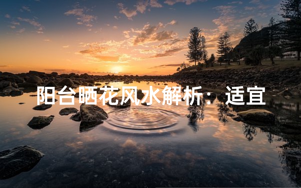 阳台晒花风水解析：适宜摆放的花卉种类