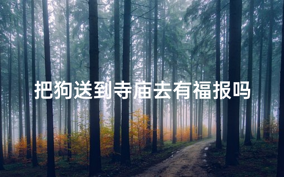把狗送到寺庙去有福报吗,把狗送走有什么讲究-海瑞算卦网