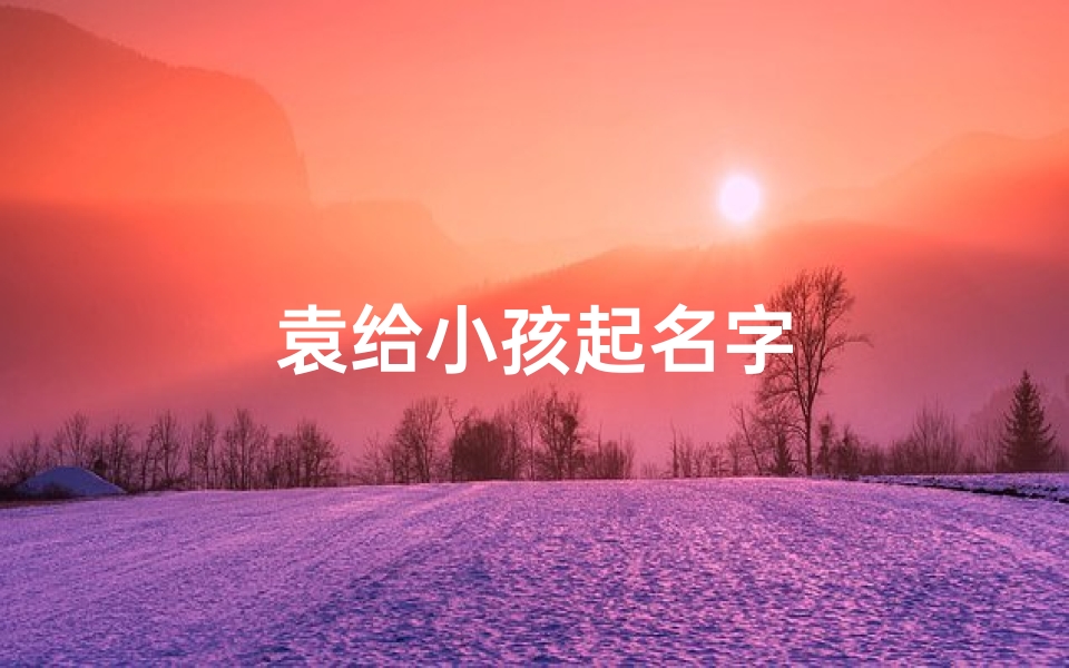 袁给小孩起名字