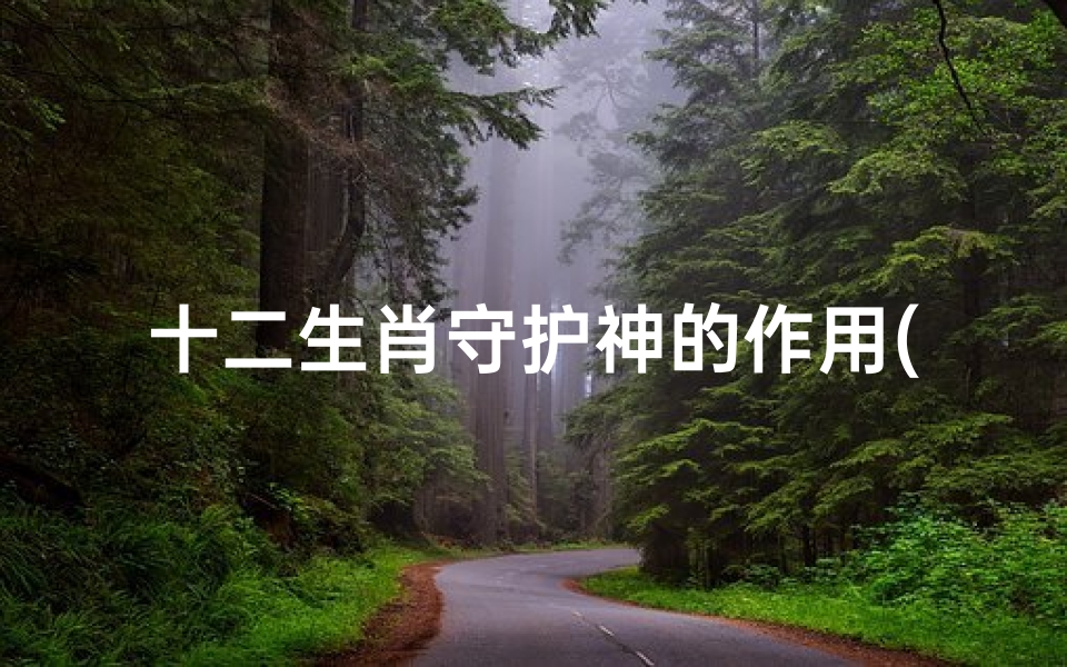 十二生肖守护神的作用(请问什么是十二生肖守护神 怎么用)