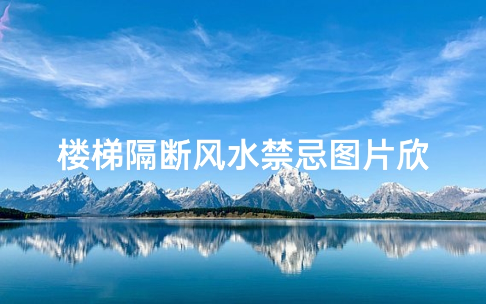 楼梯隔断风水禁忌图片欣赏(别墅进门见楼梯怎么做隔断墙)