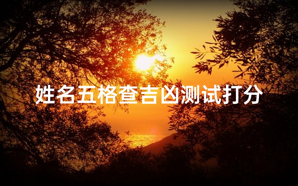 姓名五格查吉凶测试打分(名字五行打分)
