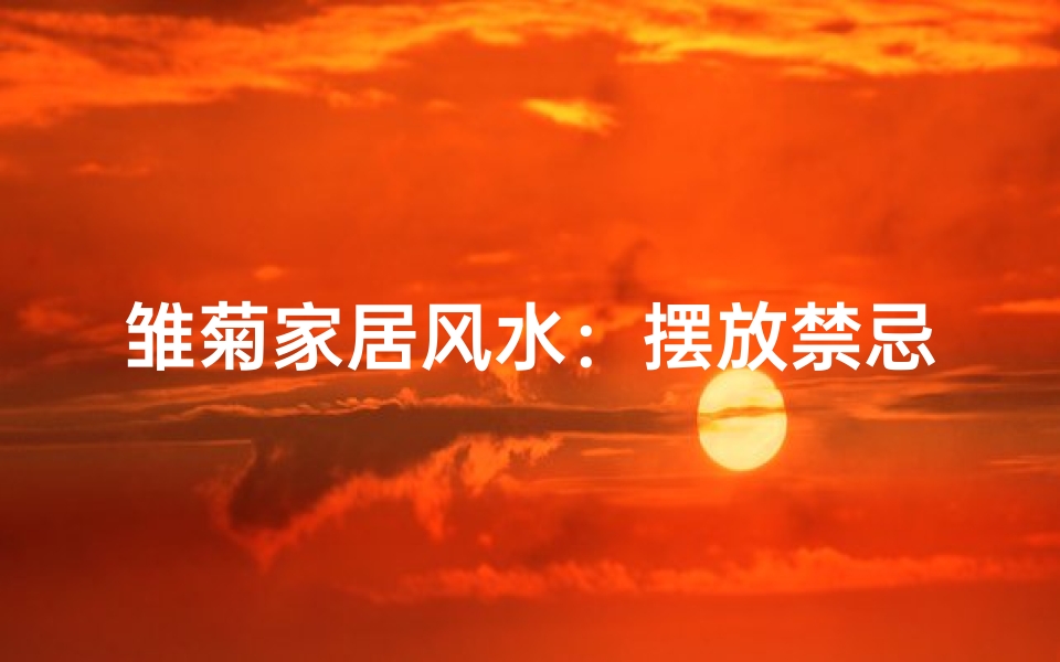 雏菊家居风水:摆放禁忌与吉祥寓意