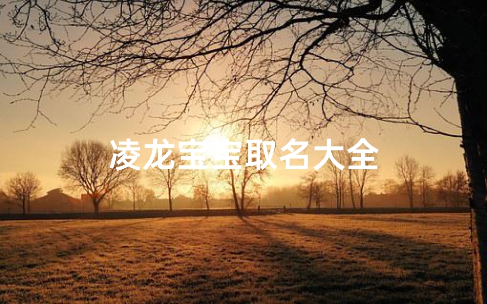 凌龙宝宝取名大全