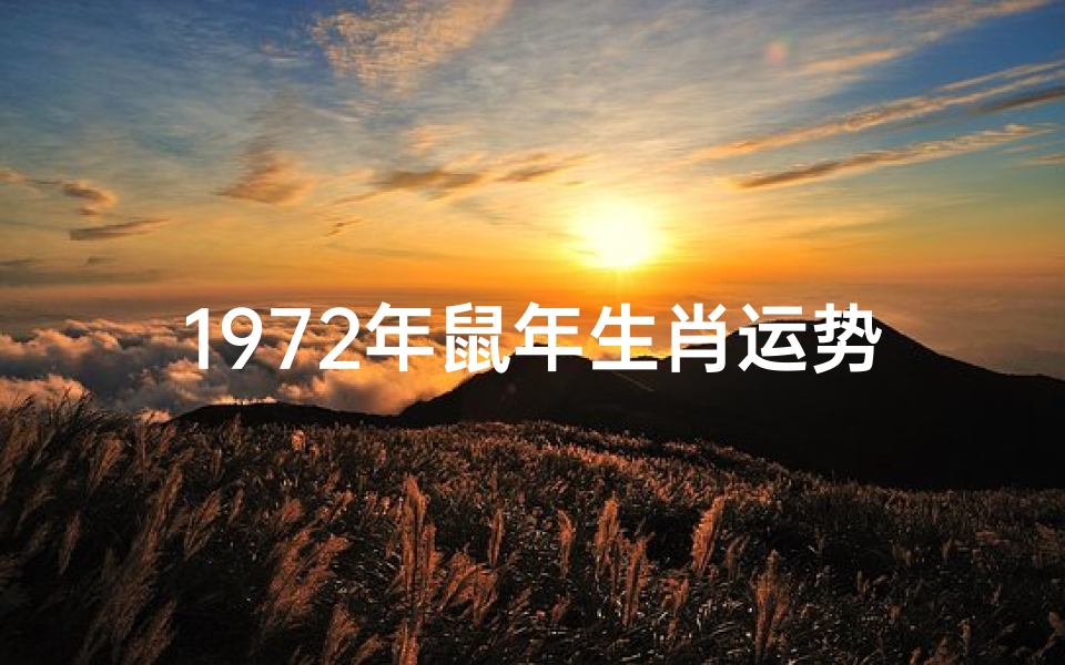 1972年鼠年生肖运势(1972年鼠在2021年运势视频)