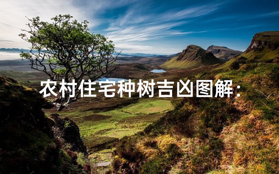 农村住宅种树吉凶图解:风水树选指南