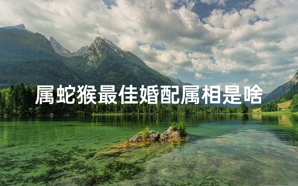 属蛇猴最佳婚配属相是啥(属蛇的人和属猴的人结婚属相和吗 )