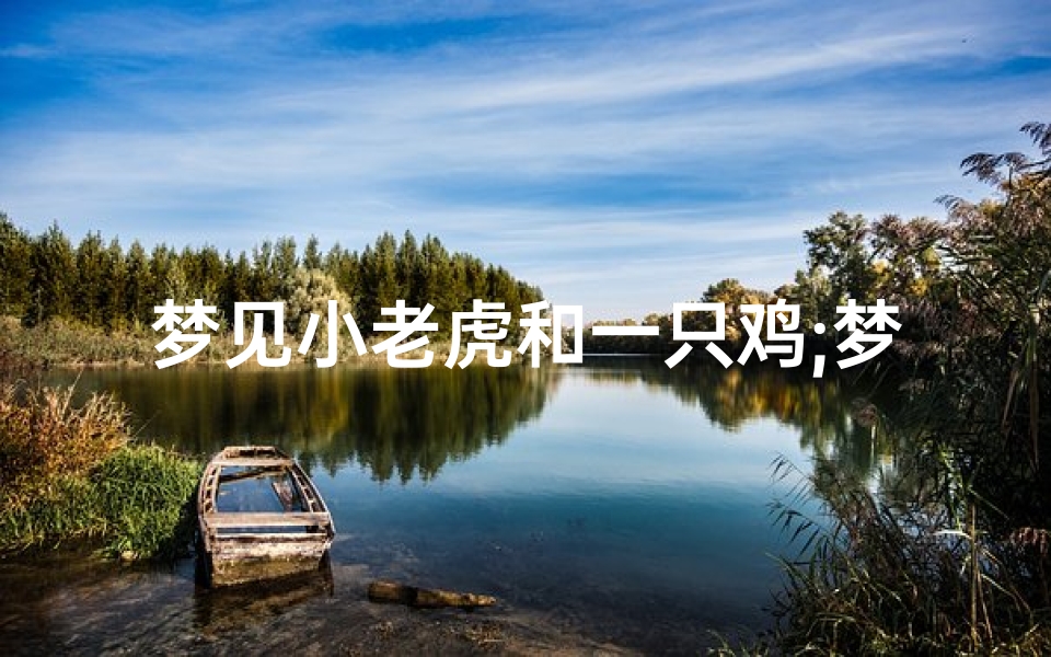梦见小老虎和一只鸡;梦见老虎和公鸡
