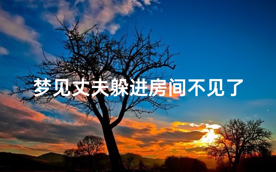 梦见丈夫躲进房间不见了—梦见丈夫躲进房间不见了什么意思