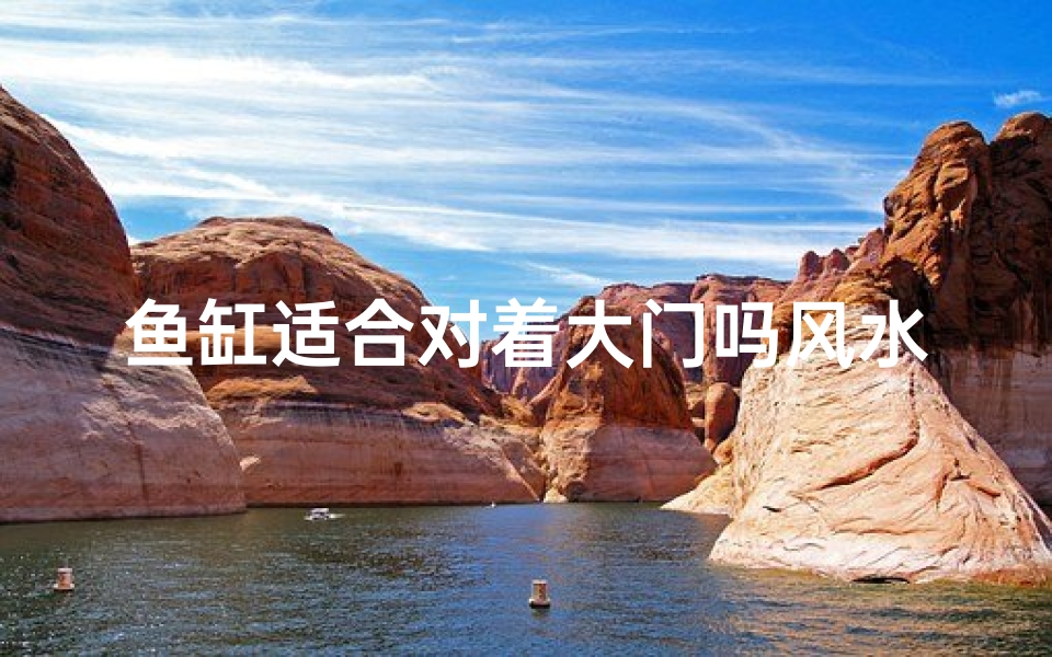 鱼缸适合对着大门吗风水好吗