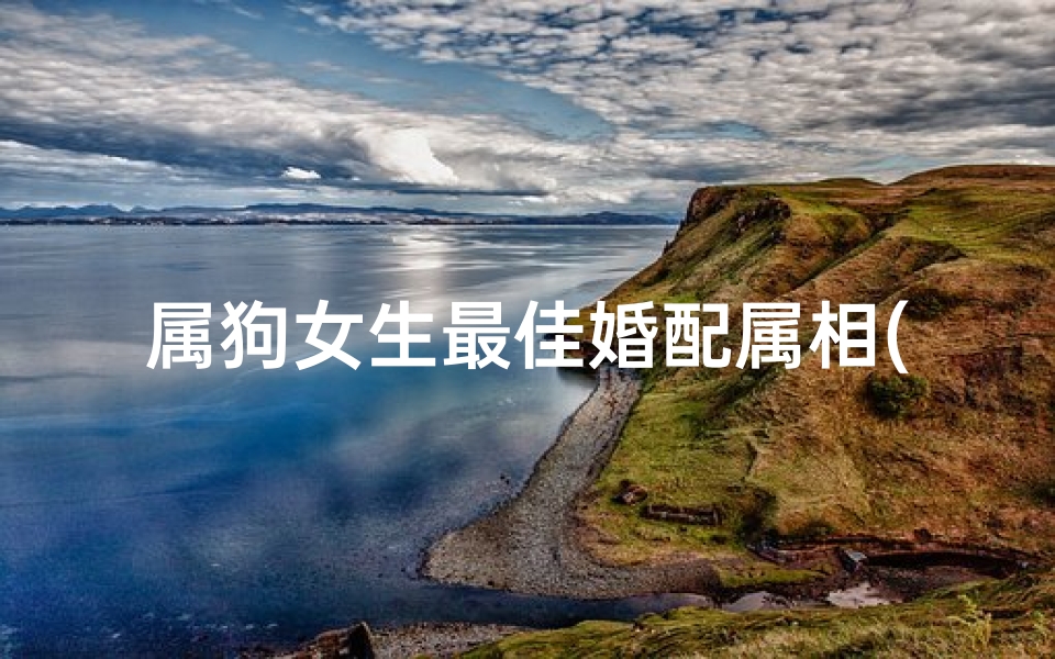 属狗女生最佳婚配属相(十二生肖狗女最佳婚配属相,女属狗的属相婚配表)