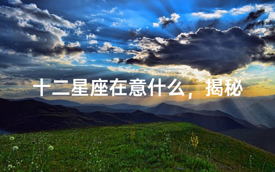 十二星座在意什么,揭秘不同星座的内心需求