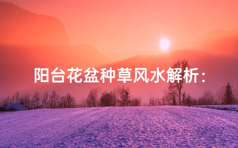 阳台花盆种草风水解析：家居好风水必备秘诀