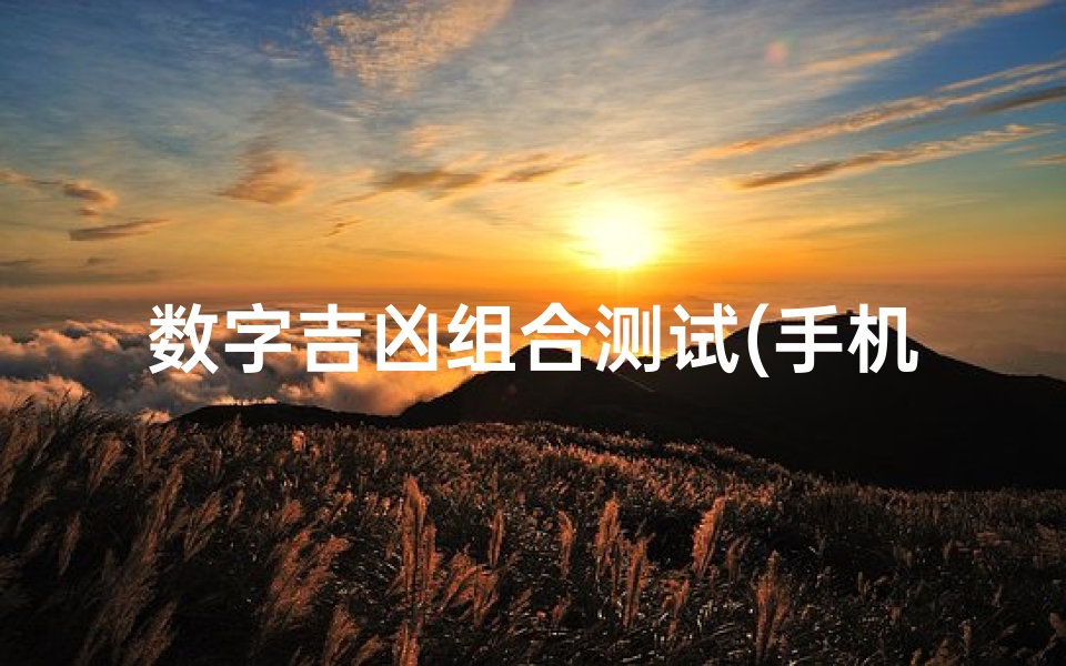数字吉凶组合测试(手机号码吉凶测试)