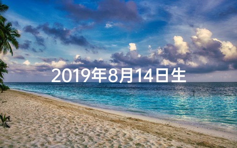 2019年8月14日生肖运势揭秘:运势吉凶一览