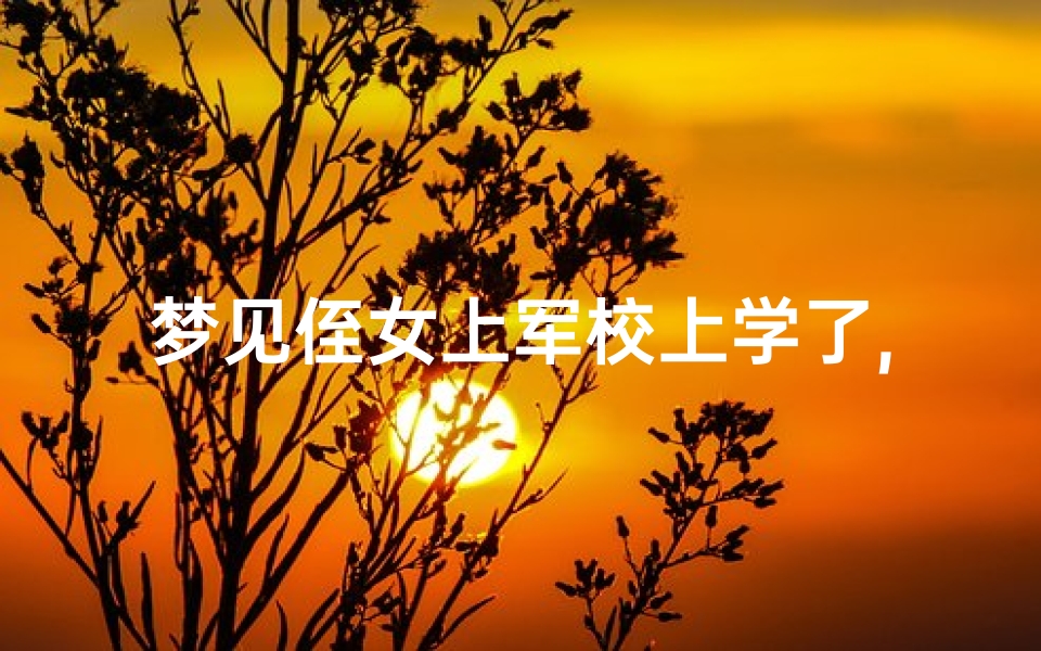 梦见侄女上军校上学了,梦见侄女去上学