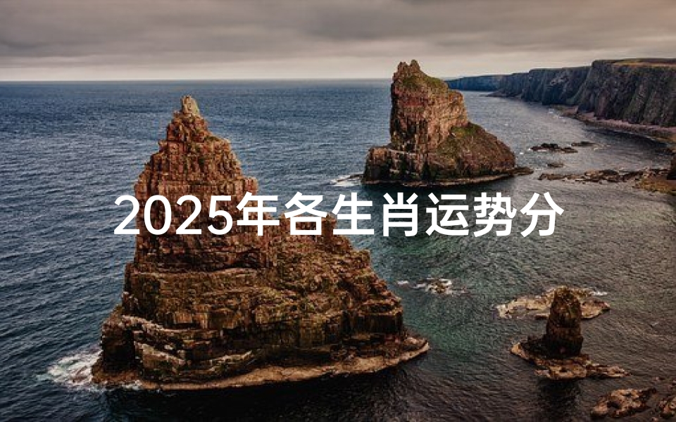 2025年各生肖运势分析-预测未来一年的吉凶福祸