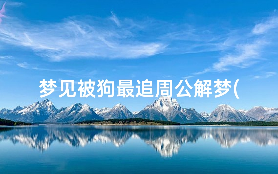 梦见被狗最追周公解梦(梦见被一只狗追着)