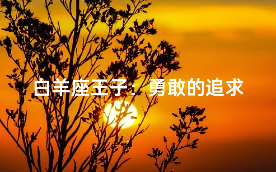 白羊座王子:勇敢的追求