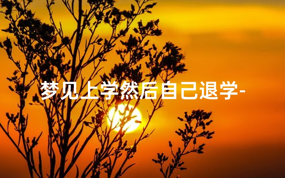 梦见上学然后自己退学-梦见自己上学又退学周公解梦