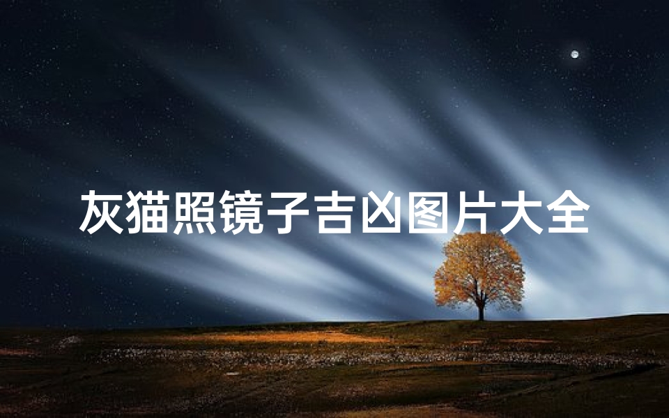 灰猫照镜子吉凶图片大全;《灰猫照镜吉凶揭秘:图片大全解析》