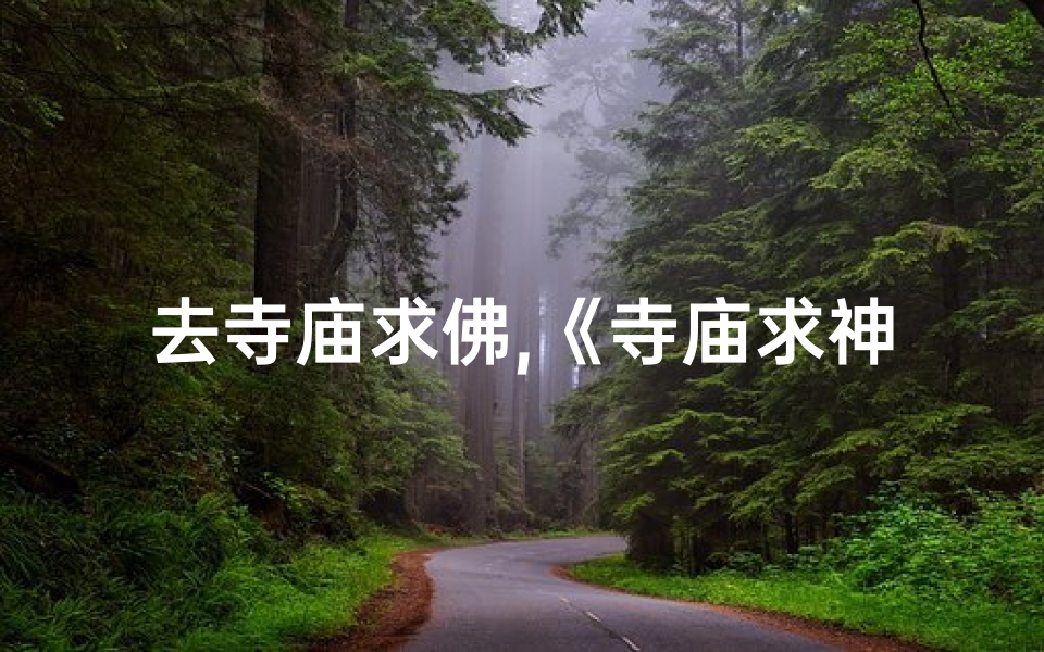去寺庙求佛,《寺庙求神搞笑语录集锦》