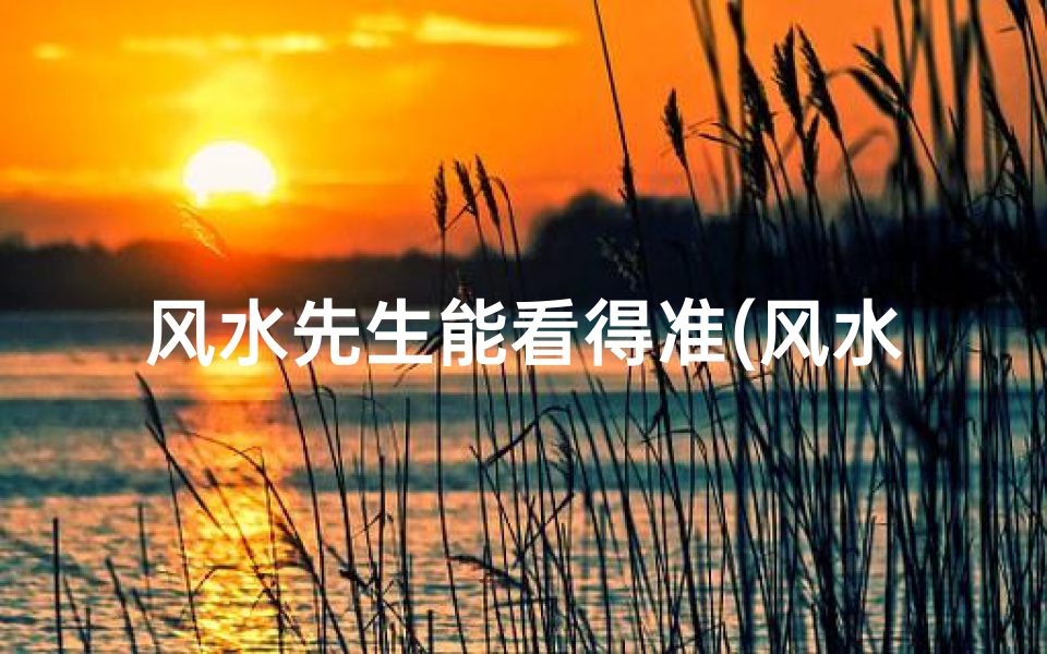 风水先生能看得准(风水先生眼光独到,洞察世间百态)