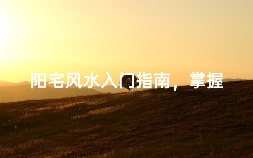 阳宅风水入门指南，掌握家居布局的基本法则