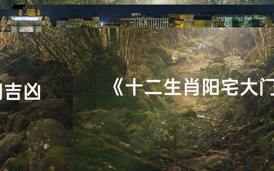 《十二生肖阳宅大门吉凶图解秘籍》